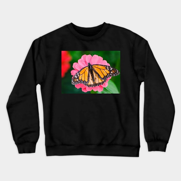Monarch Butterfly's Wings Photograph Crewneck Sweatshirt by love-fi